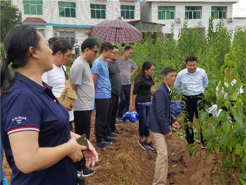 慈利縣九九農(nóng)業(yè)開(kāi)發(fā)有限公司,張家界粘木苗銷(xiāo)售,杜仲種植,苗木銷(xiāo)售 慈利縣九九農(nóng)業(yè)開(kāi)發(fā)有限公司,張家界粘木苗銷(xiāo)售,杜仲種植,苗木銷(xiāo)售