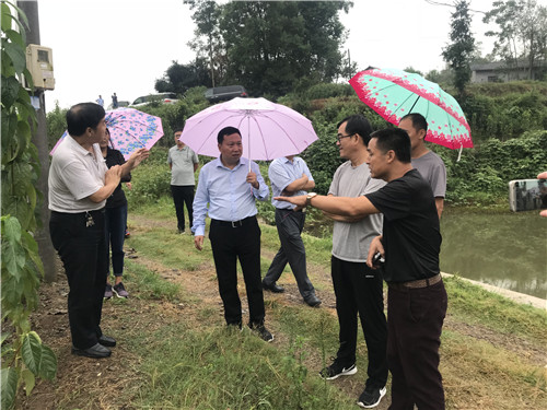 慈利縣九九農(nóng)業(yè)開(kāi)發(fā)有限公司,張家界粘木苗銷(xiāo)售,杜仲種植,苗木銷(xiāo)售 慈利縣九九農(nóng)業(yè)開(kāi)發(fā)有限公司,張家界粘木苗銷(xiāo)售,杜仲種植,苗木銷(xiāo)售